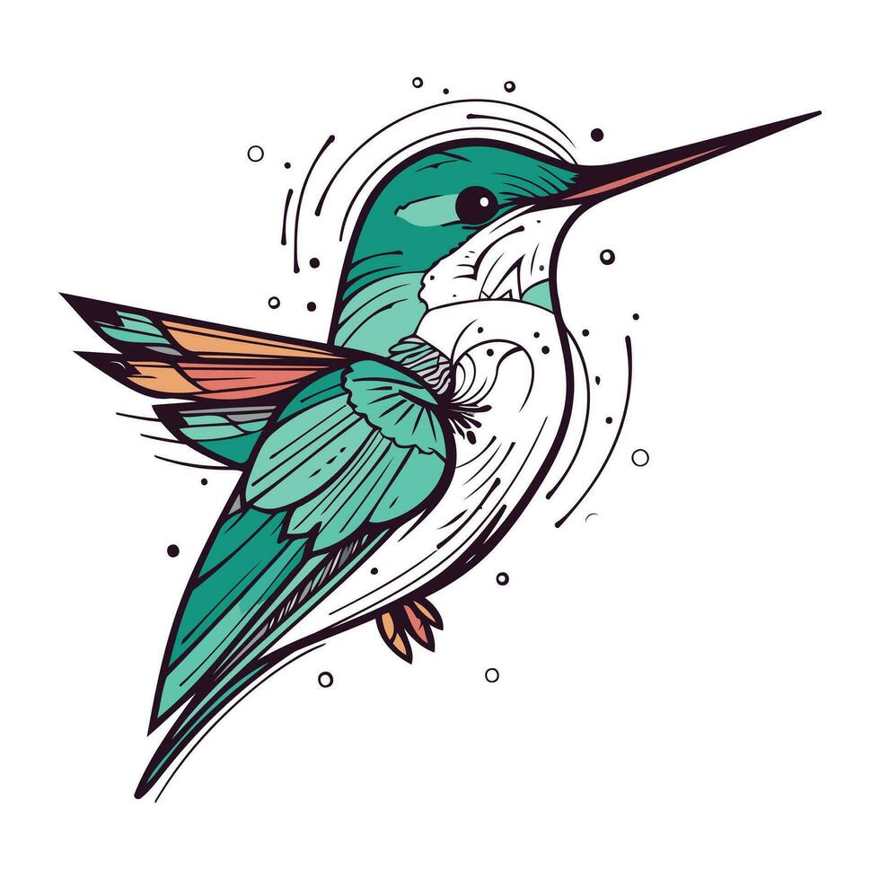 colibrì mano disegnato vettore illustrazione. isolato su bianca sfondo.