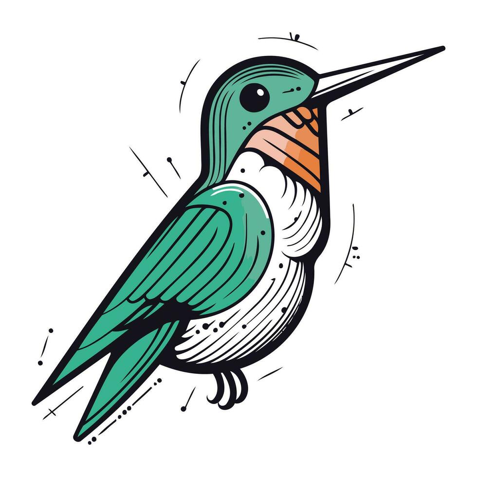 mano disegnato vettore illustrazione di un' colibrì isolato su bianca sfondo.