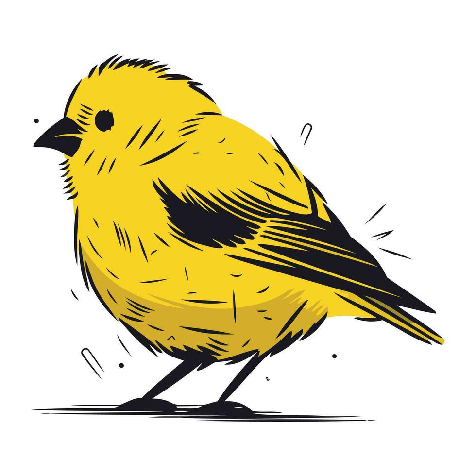 illustrazione di un' giallo uccello su un' bianca sfondo. vettore illustrazione