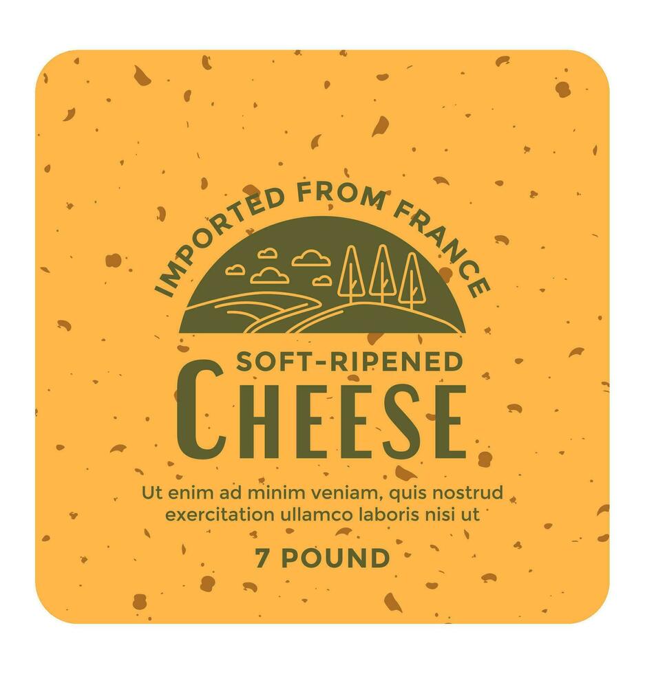morbido maturato formaggio importati a partire dal Francia etichetta vettore