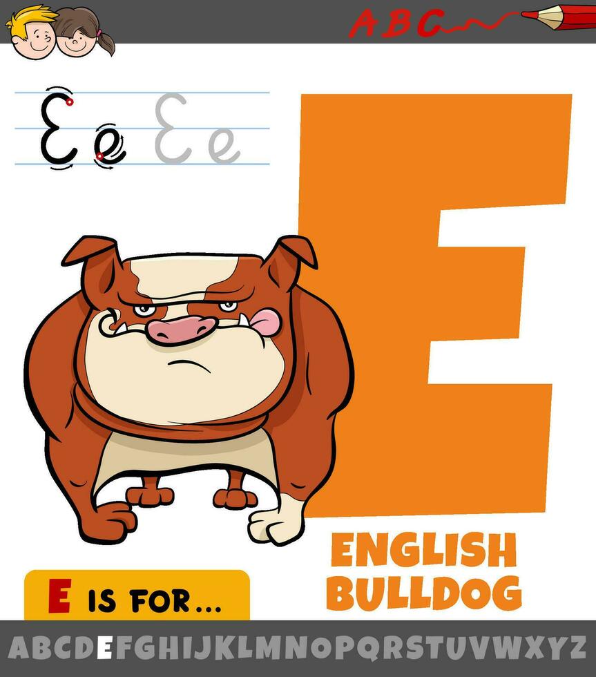 lettera e a partire dal alfabeto con cartone animato inglese bulldog personaggio vettore