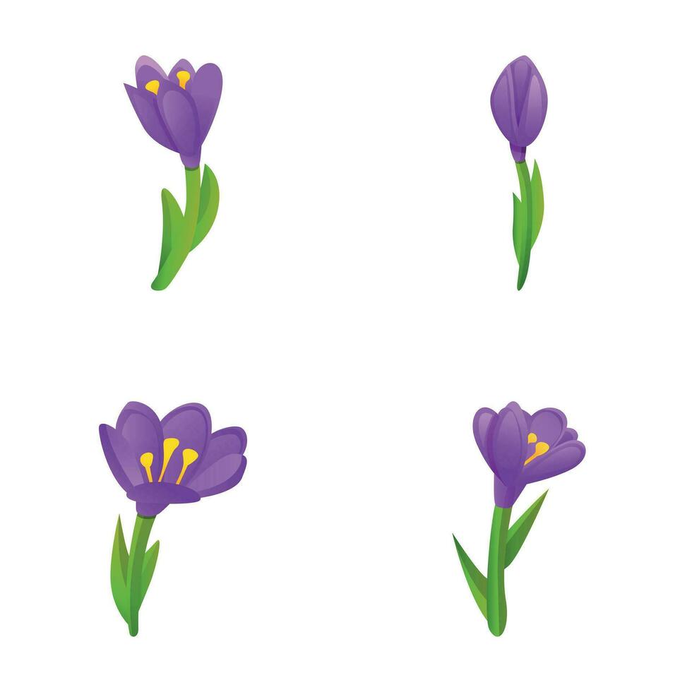 primavera croco icone impostato cartone animato vettore. luminosa primavera fiore vettore