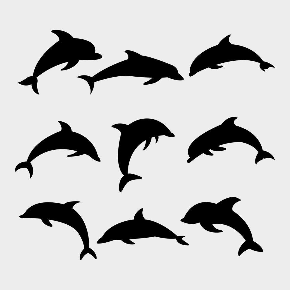 set di delfini illustrato su sfondo bianco vettore
