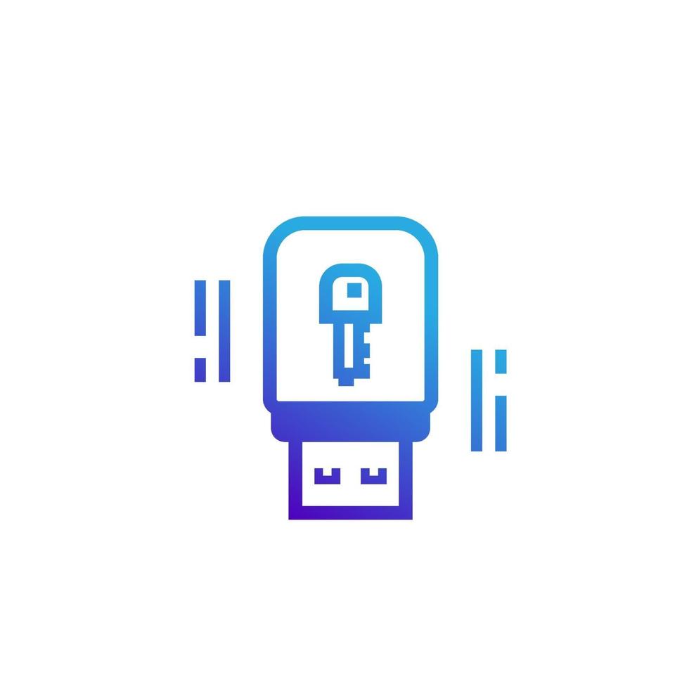 icona chiave di sicurezza chiavetta USB vettore