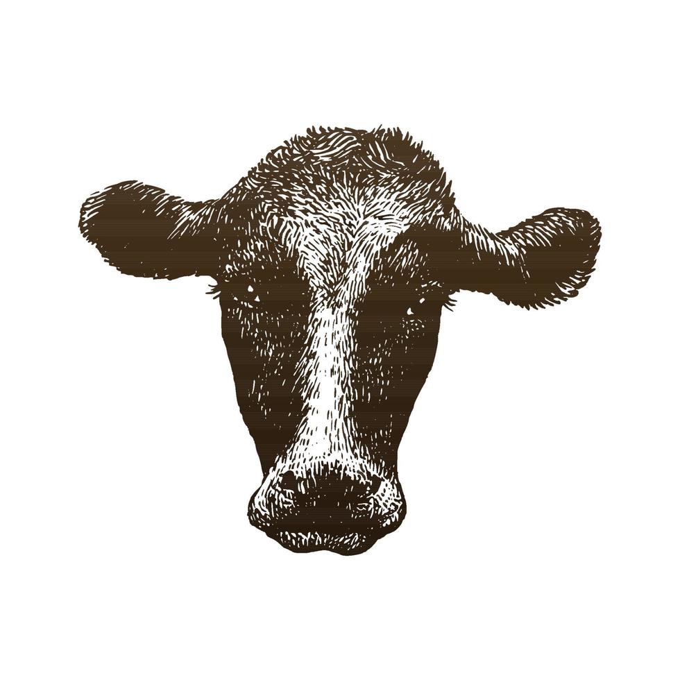 illustrazione del disegno a mano della testa di mucca vettore