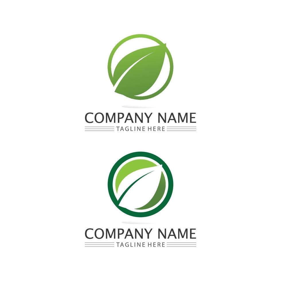 foglia e logo dell'albero della natura per il business vettore ecologia delle piante verdi