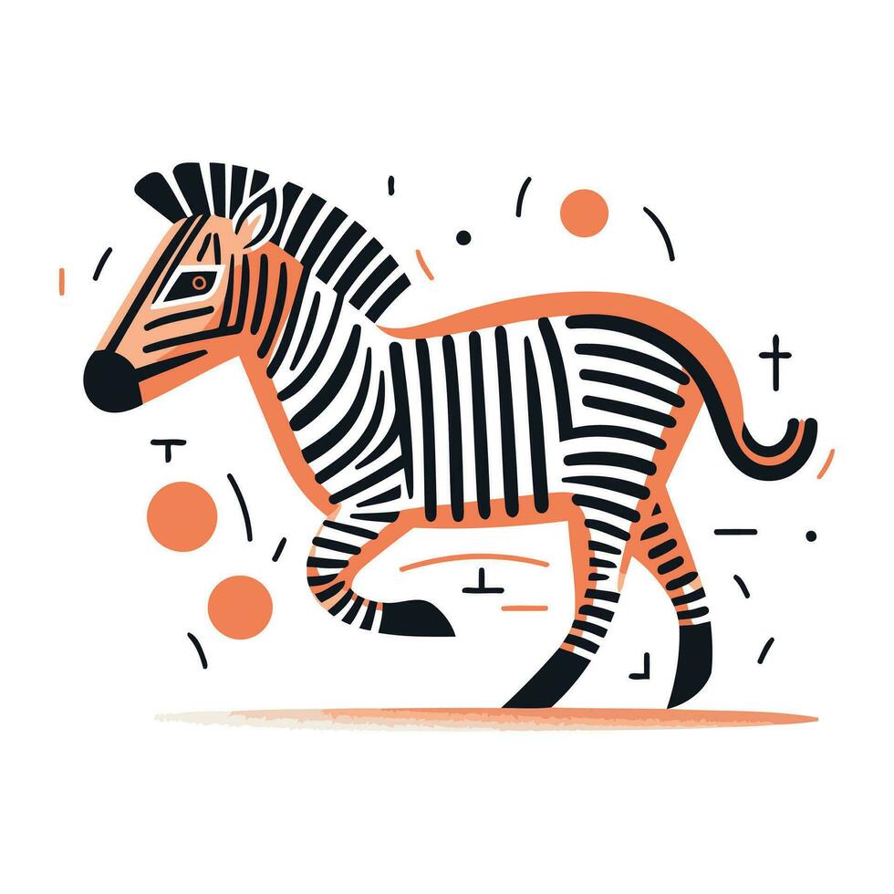 zebra. vettore illustrazione. isolato su un' bianca sfondo.
