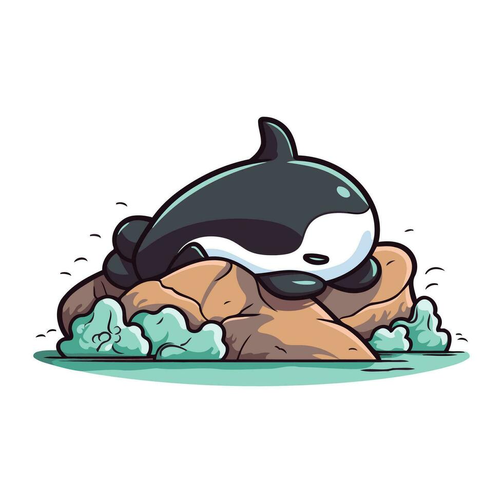 cartone animato uccisore balena su roccia. vettore illustrazione di un' uccisore balena.