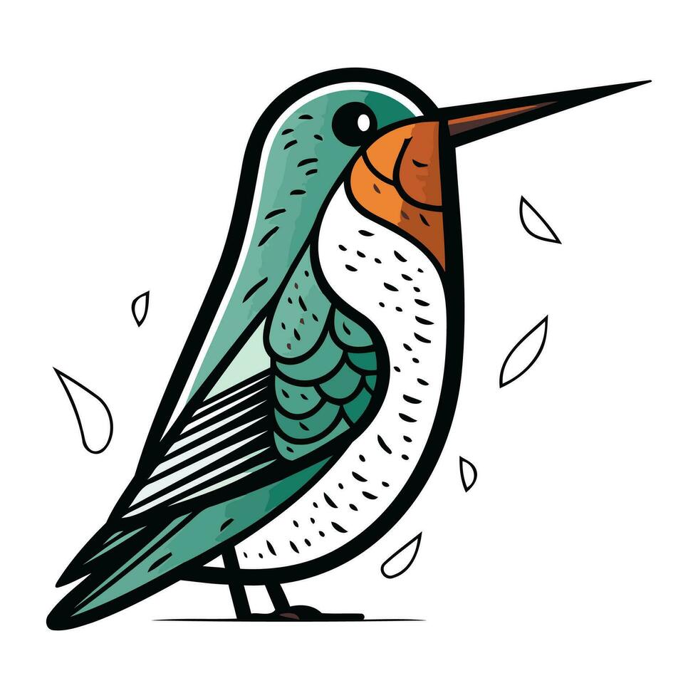 cartone animato colibrì. mano disegnato vettore illustrazione isolato su bianca sfondo.