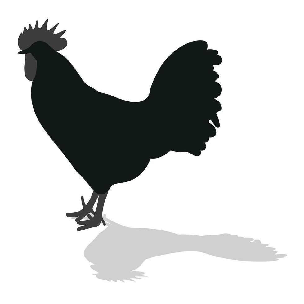 gallo, galletto, gallo, gallina, gallina, pulcino, in piedi posizione, uccello silhouette mano disegnato vettore