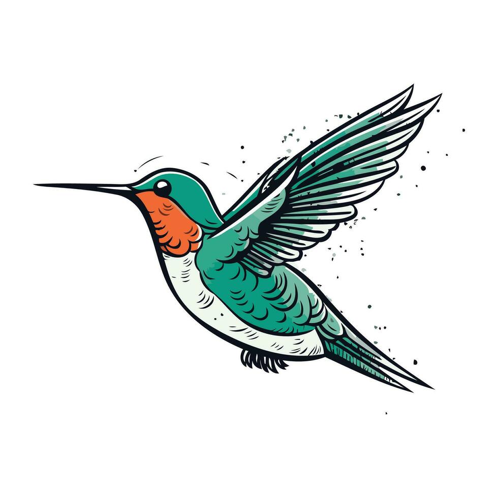 colibrì vettore illustrazione. colibrì con Ali differenza.