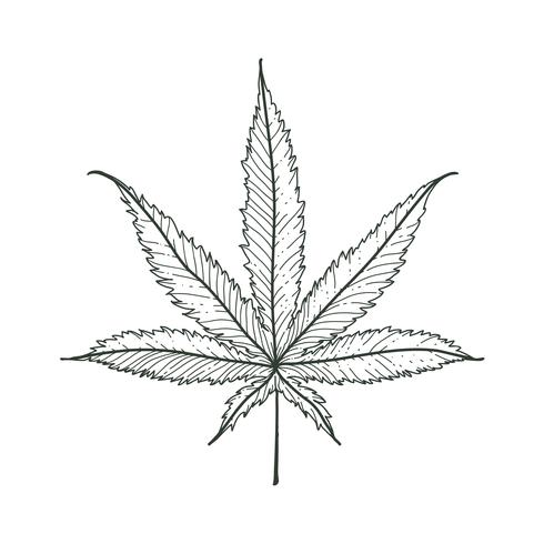 Foglia di marijuana vettoriale