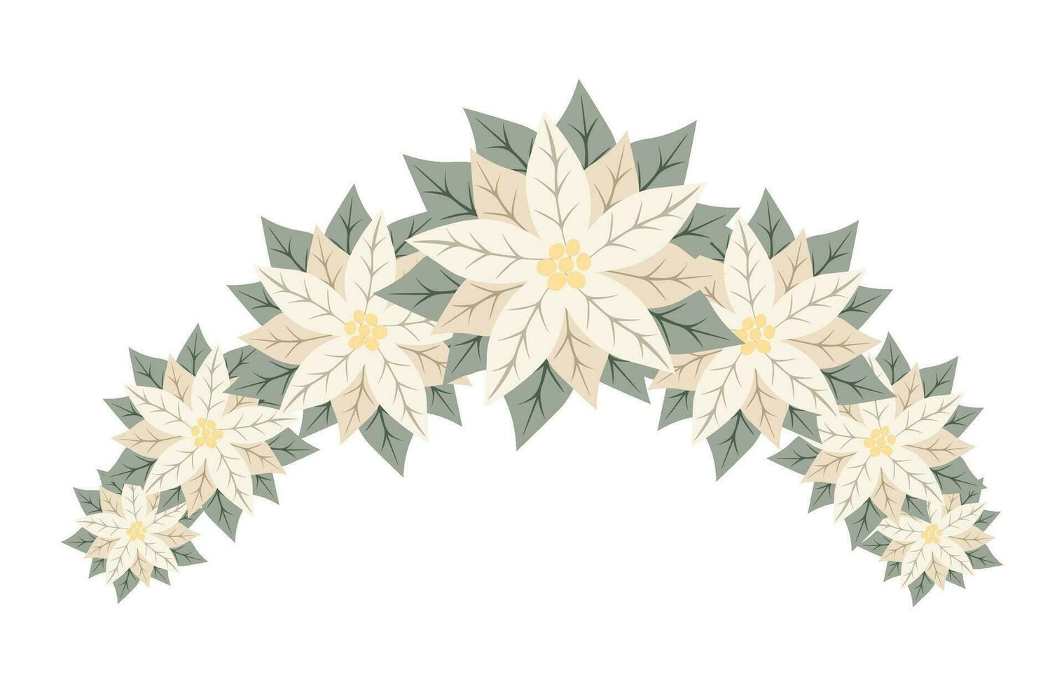 decorativo ramo di bianca poinsettia fiori. isolato floreale nuovo anno e Natale arredamento per saluto carta, invito, vacanza design vettore