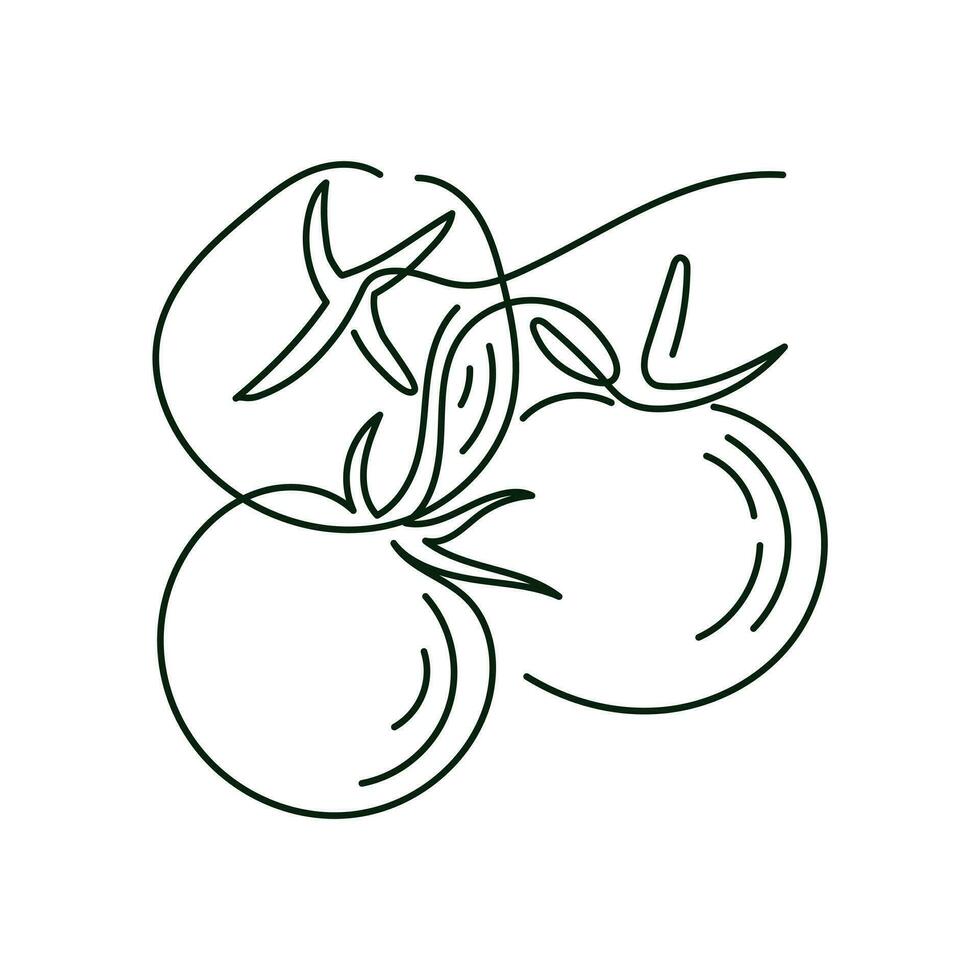 mazzo di pomodori su un' ramo, vettore linea arte isolato illustrazione.
