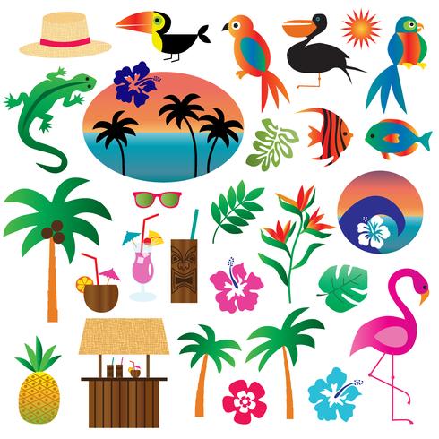 clipart tropicale vettore