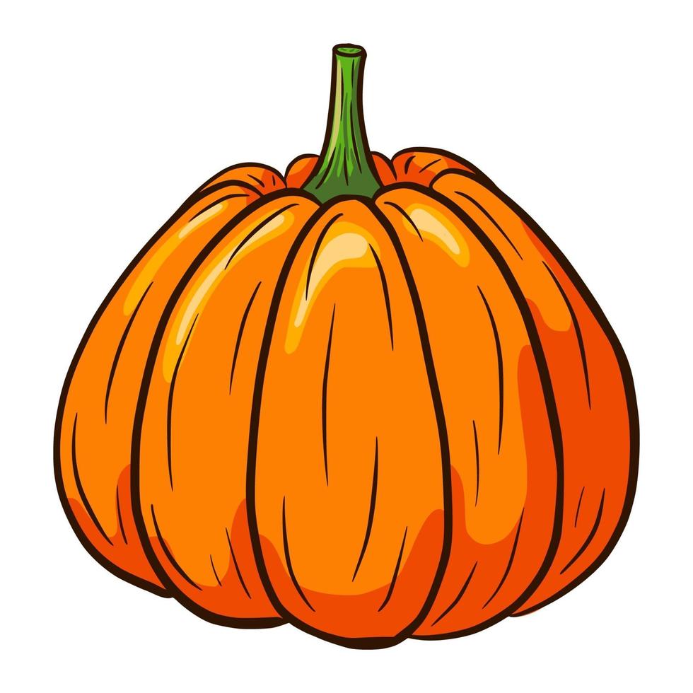 illustrazione di zucca dei cartoni animati vettore