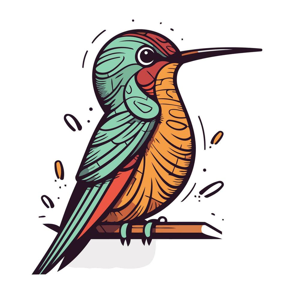 colibrì. mano disegnato vettore illustrazione isolato su bianca sfondo.