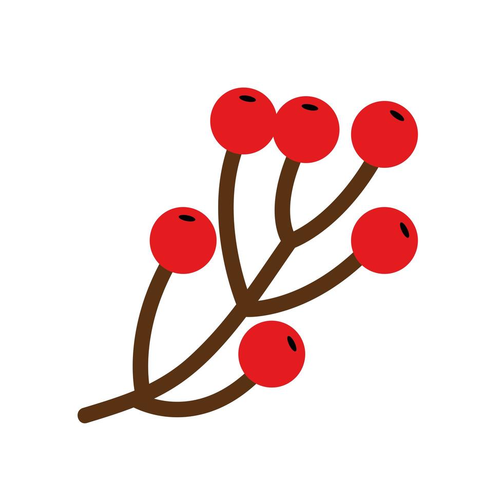 ramo con frutti di agrifoglio tradizionale icona isolata di natale vettore