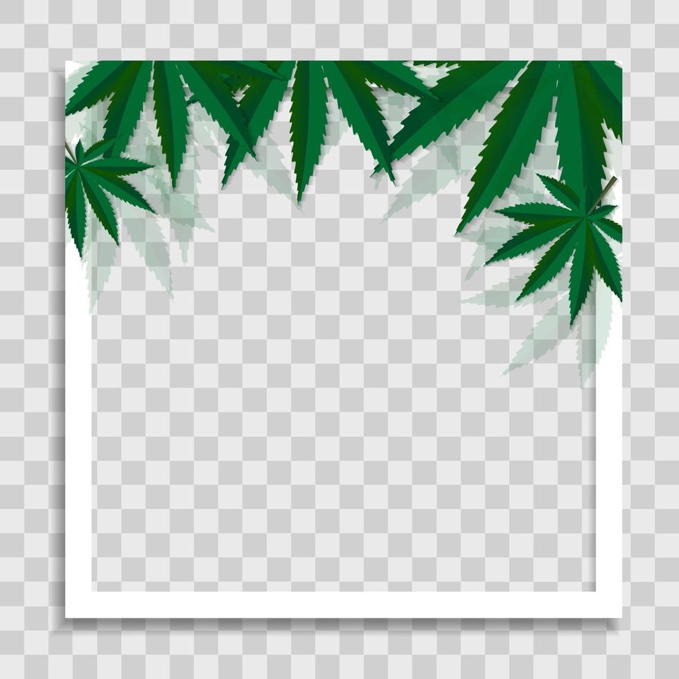 modello di cornice per foto vuota con foglie di cannabis vettore