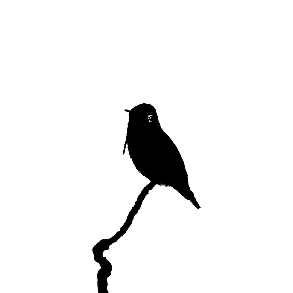 arroccato colibrì silhouette, può uso arte illustrazione, sito web, logo grammo, pittogramma o grafico design elemento. vettore illustrazione