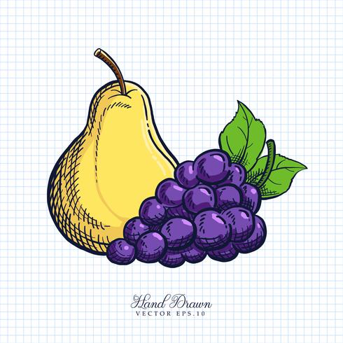 Illustrazione disegnata a mano di frutta e verdura vettore