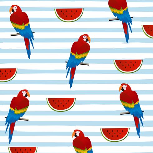 Wattermelon e pappagalli con strisce seamless pattern di sfondo vettore