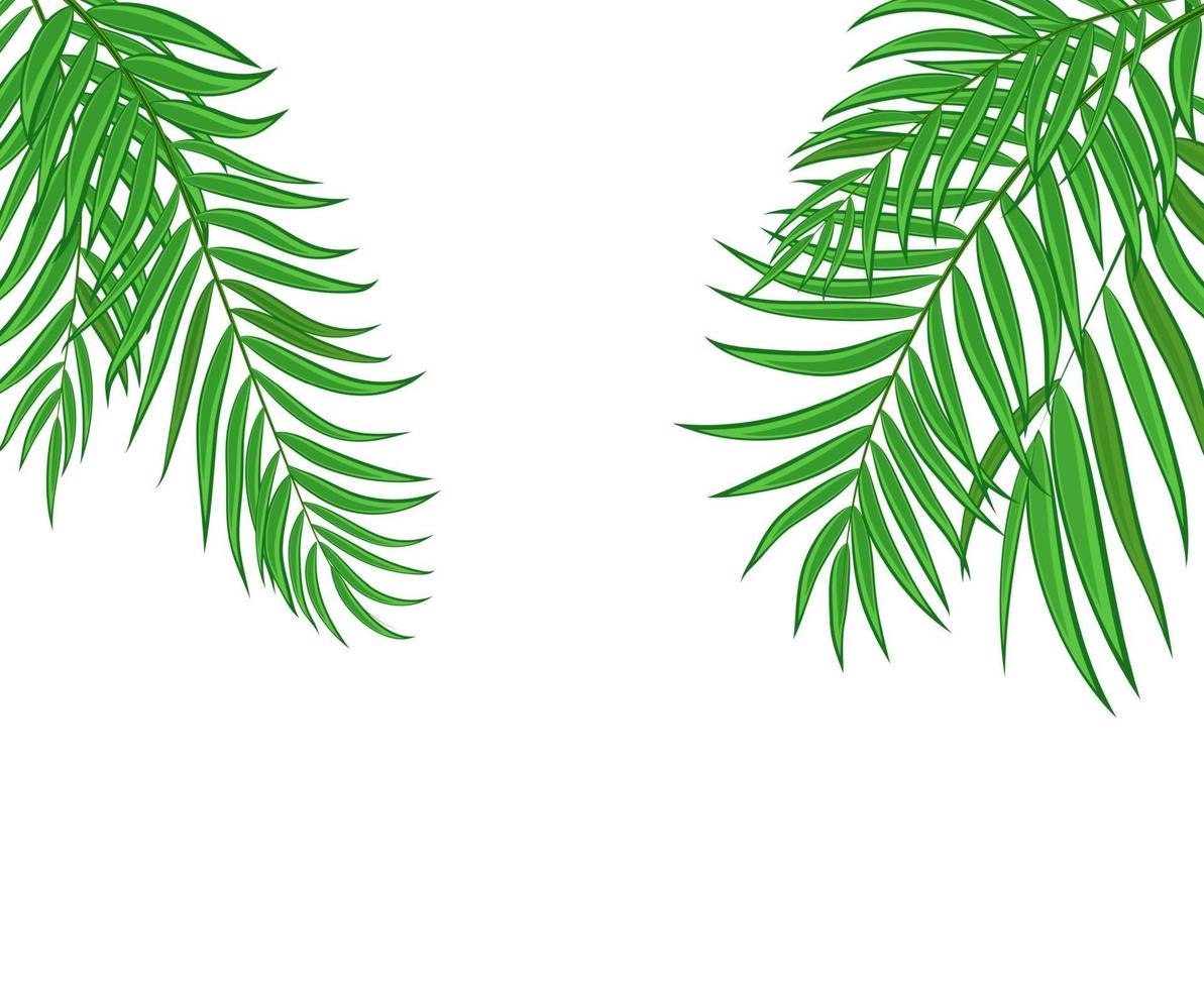 bella illustrazione di vettore del fondo della siluetta della foglia della palma