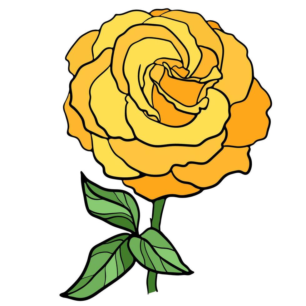 vettore illustrazione di rosa fiore