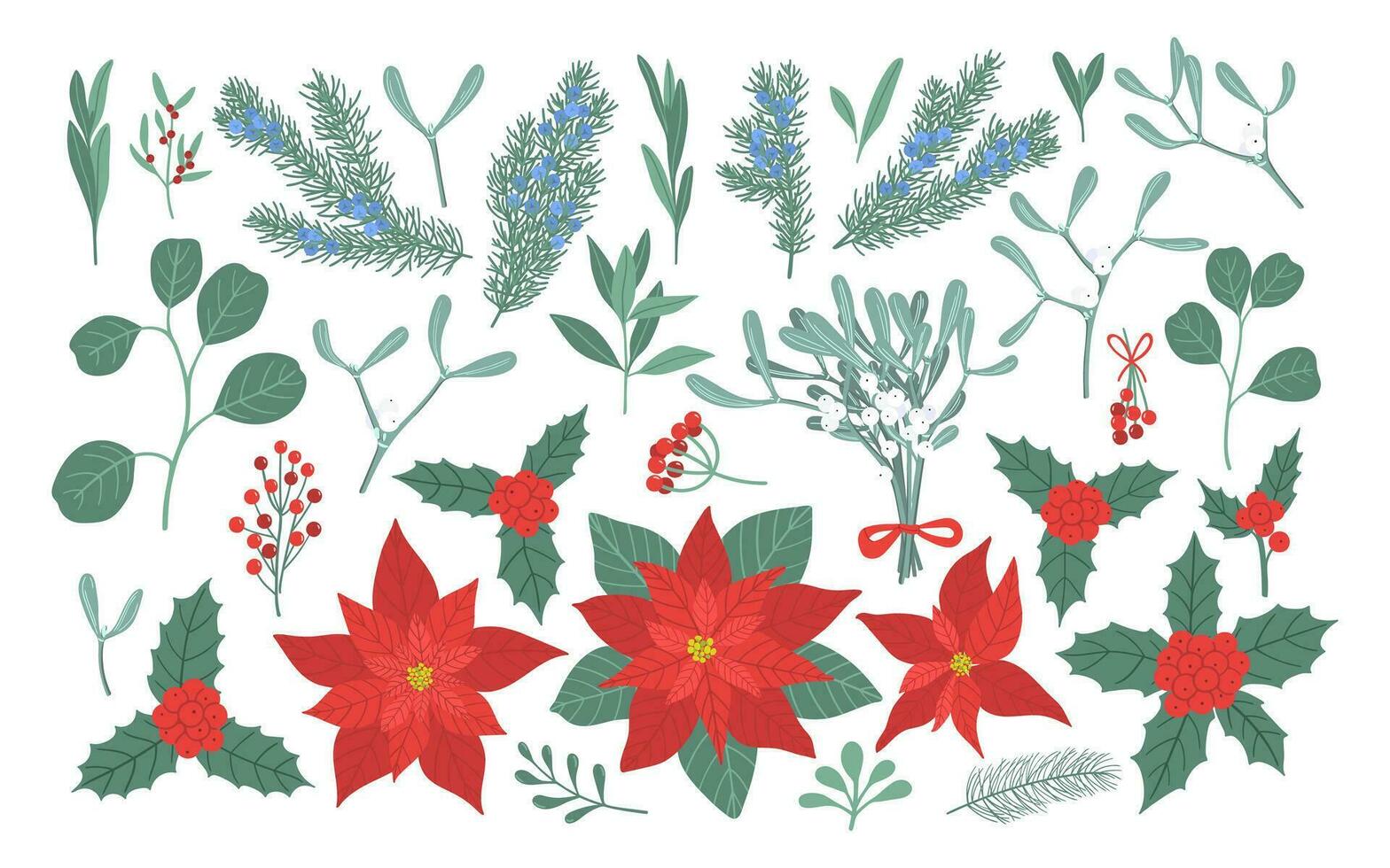 inverno fiori, frutti di bosco e le foglie impostare. vettore mano disegnato Natale floreale elementi