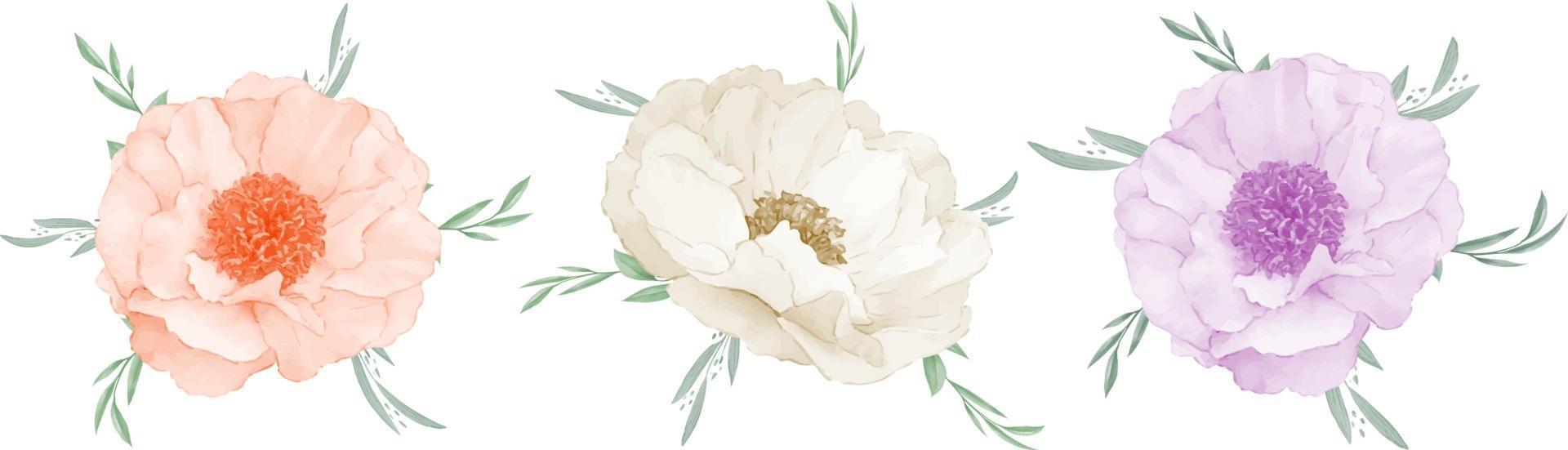 anemone bouquet di fiori acquerello isolato su sfondo bianco vettore