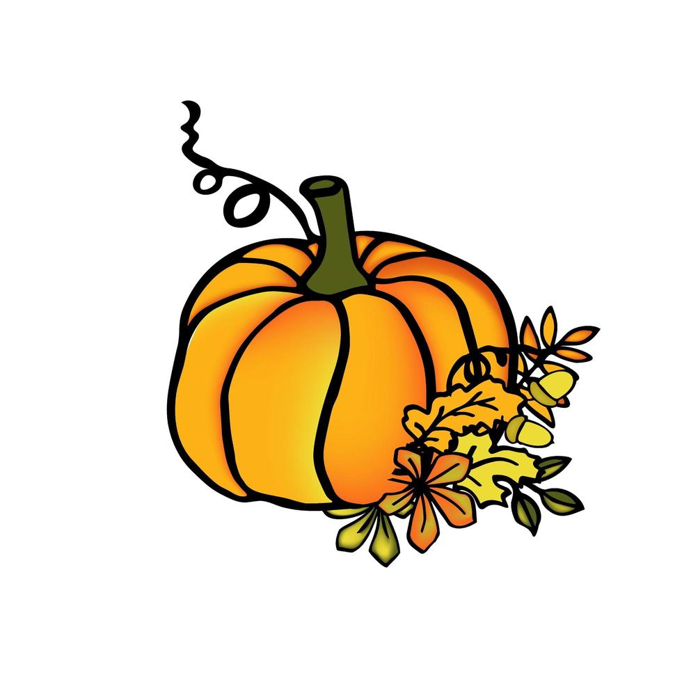 illustrazione di zucca autunnale, isolato su sfondo bianco vettore