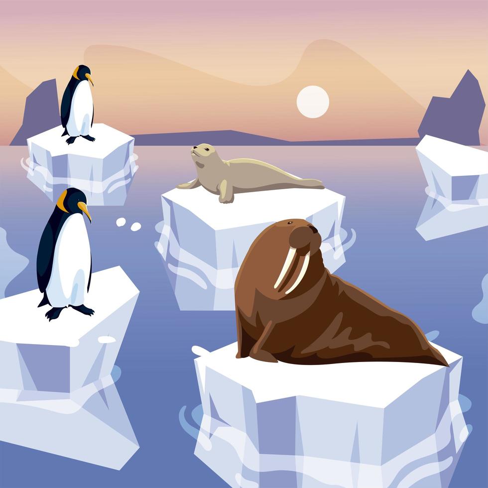 foca tricheco e pinguini in piedi sul polo nord dell'iceberg vettore