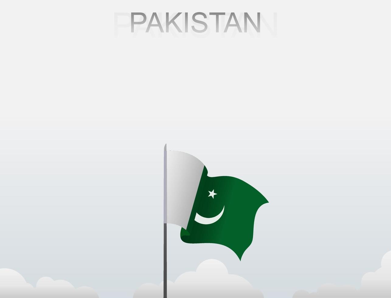 bandiera del pakistan che sventola sotto il cielo bianco vettore