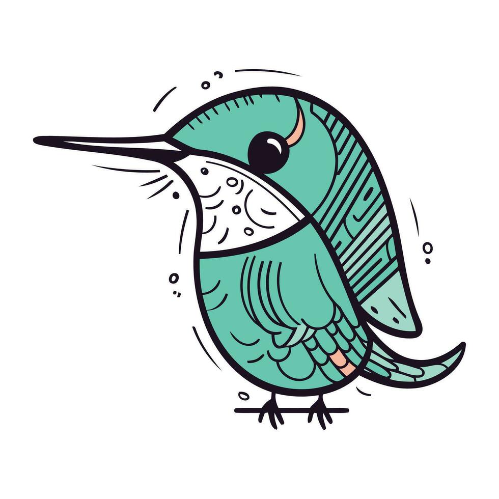 colibrì. mano disegnato vettore illustrazione isolato su bianca sfondo.