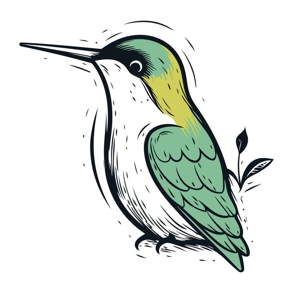 mano disegnato vettore illustrazione di un' colibrì su un' bianca sfondo.