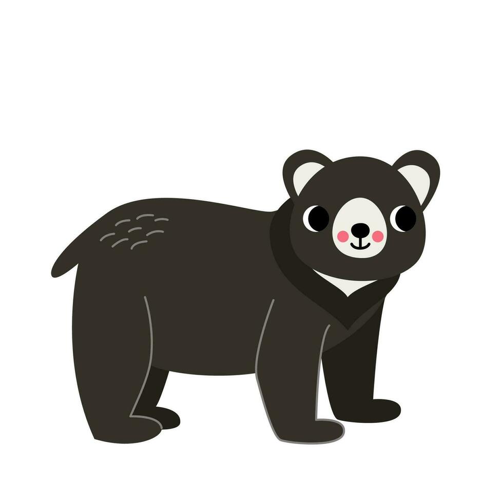 vettore illustrazione di carino nero orso isolato su bianca sfondo.
