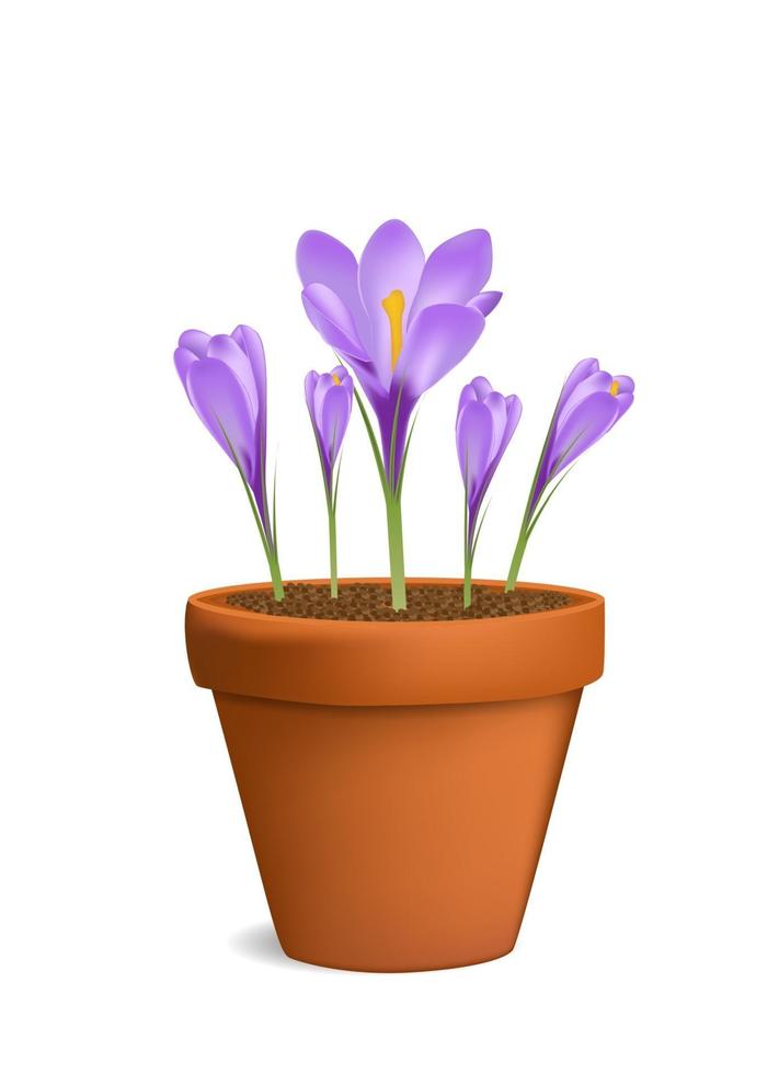 croco nell'illustrazione vettoriale del vaso di fiori