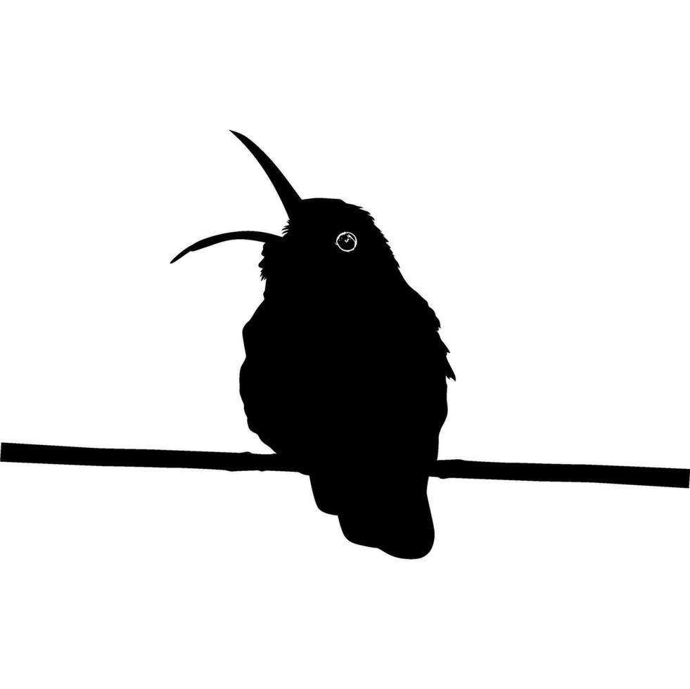 arroccato colibrì silhouette, può uso arte illustrazione, sito web, logo grammo, pittogramma o grafico design elemento. vettore illustrazione