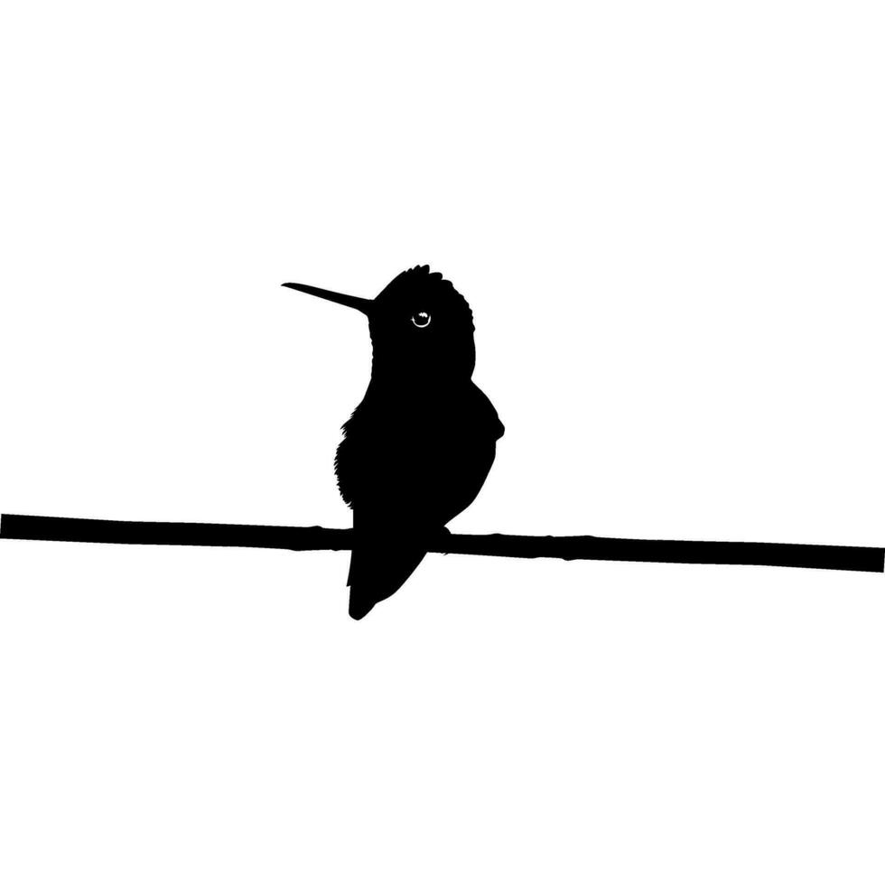 arroccato colibrì silhouette, può uso arte illustrazione, sito web, logo grammo, pittogramma o grafico design elemento. vettore illustrazione