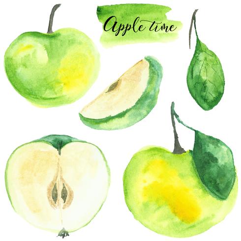 Metti la mela. Illustrazione ad acquerello Cibo. Isolato. Naturale, organico. Frutta. Verde, giallo, marrone. Vettore. vettore