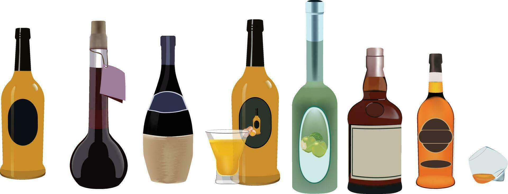 gruppo di bottiglie di vario forme di liquore- vettore
