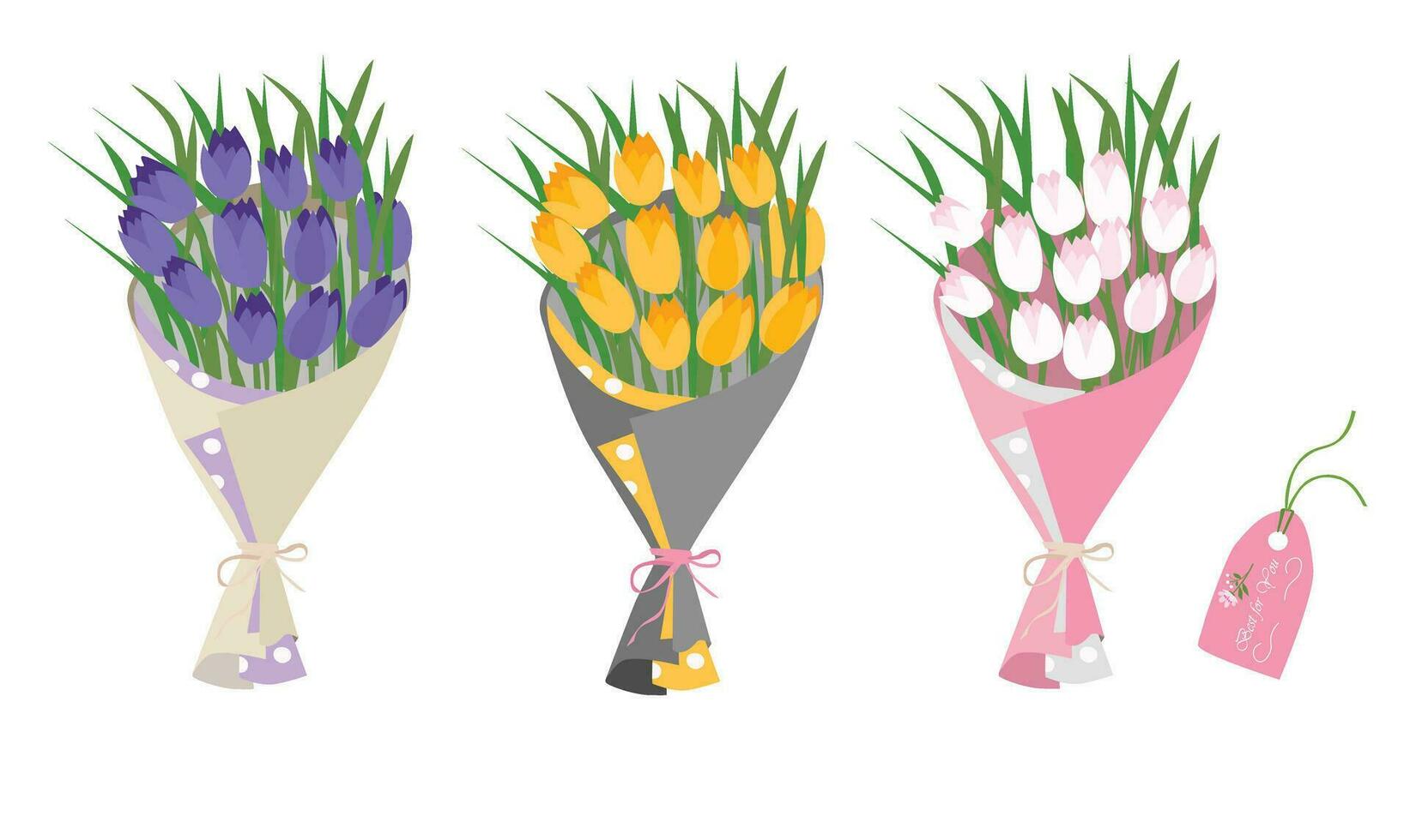 mazzo di tulipano fiori. tulipano fiore mazzo vettore illustrazione. primavera fiore. floreale mazzo avvolto nel regalo carta. regalo per speciale giorno, celebrazione giorno piace compleanno, insegnante giorno, donne giorno.