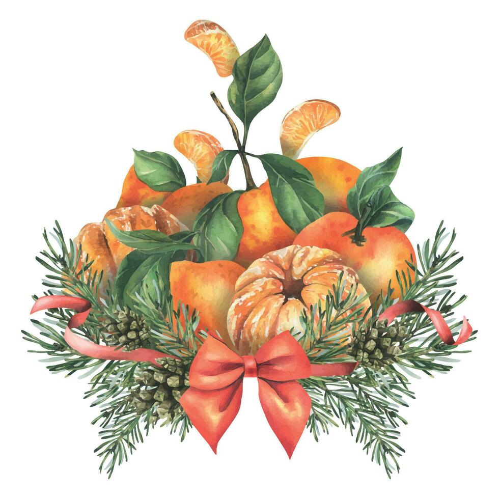un' mazzo di mandarini con le foglie con un insegne di pino rami con un' rosso arco, nastri. acquerello illustrazione, mano disegnato. composizione su un' bianca sfondo, per nuovo anno, Natale, compleanno vettore