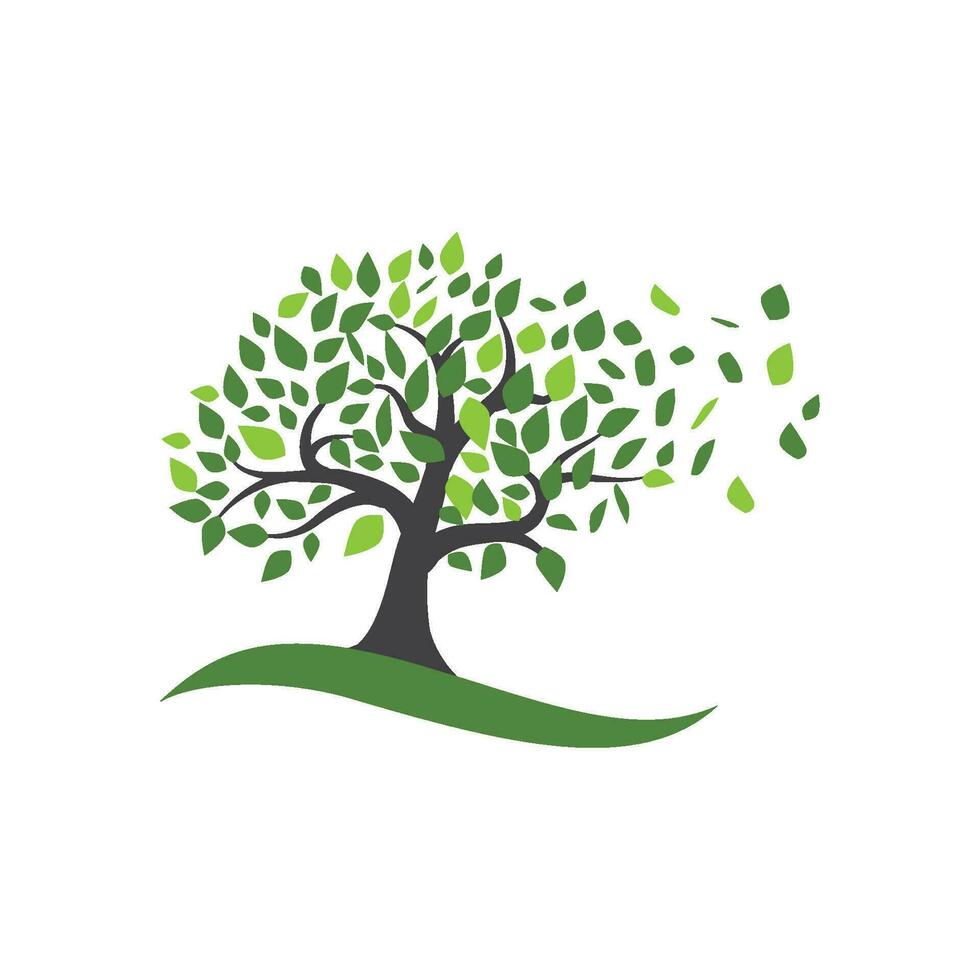 loghi di ecologia foglia di albero verde vettore