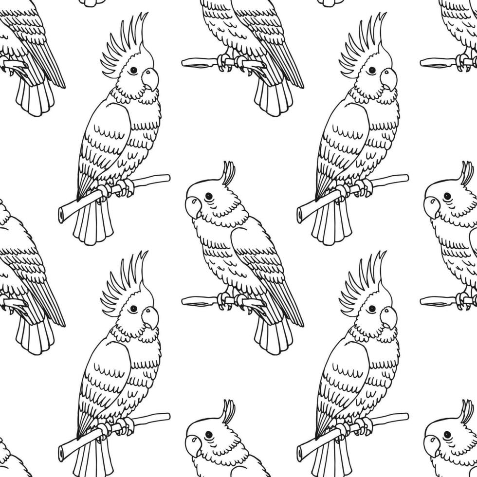 senza soluzione di continuità modello, disegnato a mano tropicale uccelli pappagalli. nero e bianca Stampa, sfondo. schema disegno, schizzo. vettore