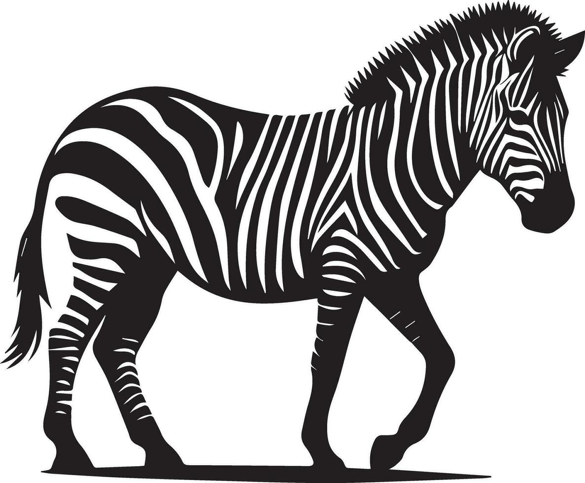 zebra animale vettore silhouette 12