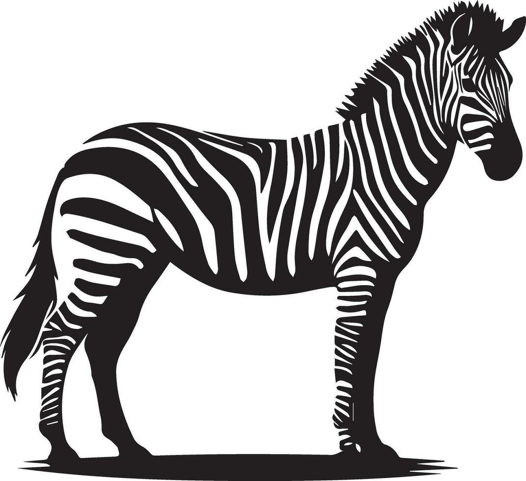 zebra animale vettore silhouette 14