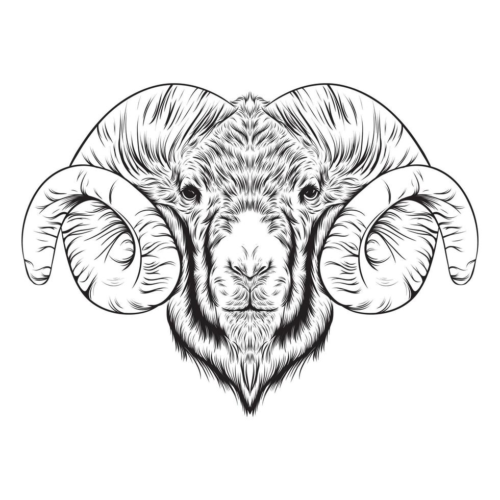 testa di capra illustrazione in bianco e nero vettore