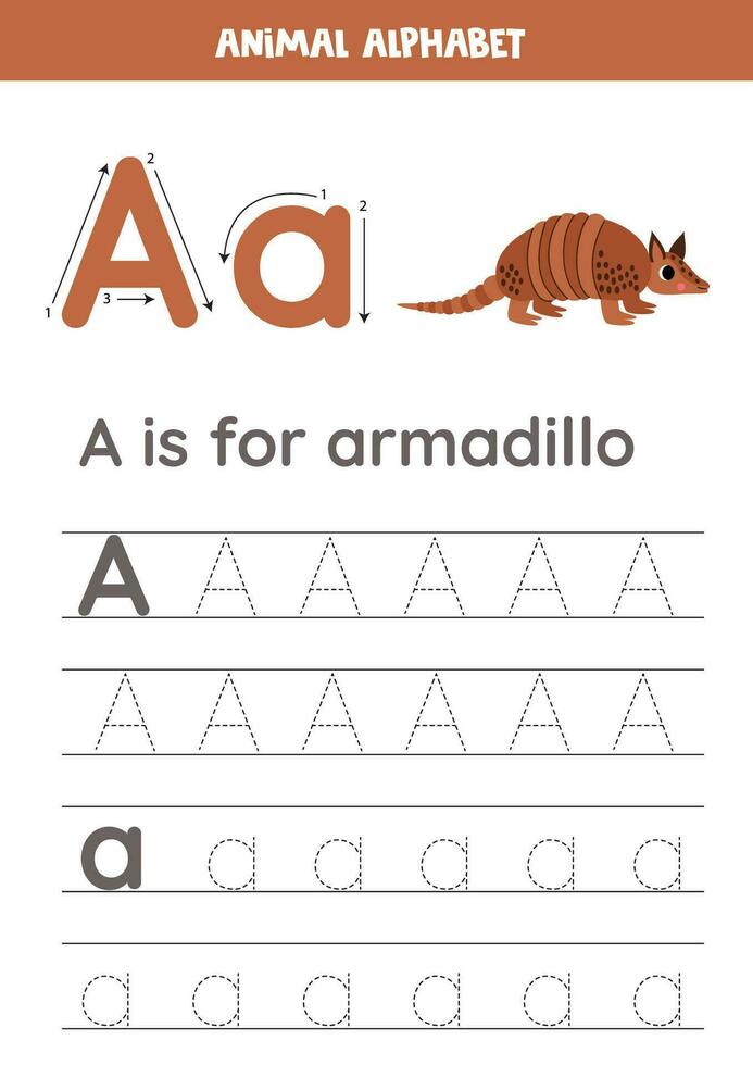 tracciato alfabeto lettere per bambini. animale alfabeto. un' è per armadillo. vettore