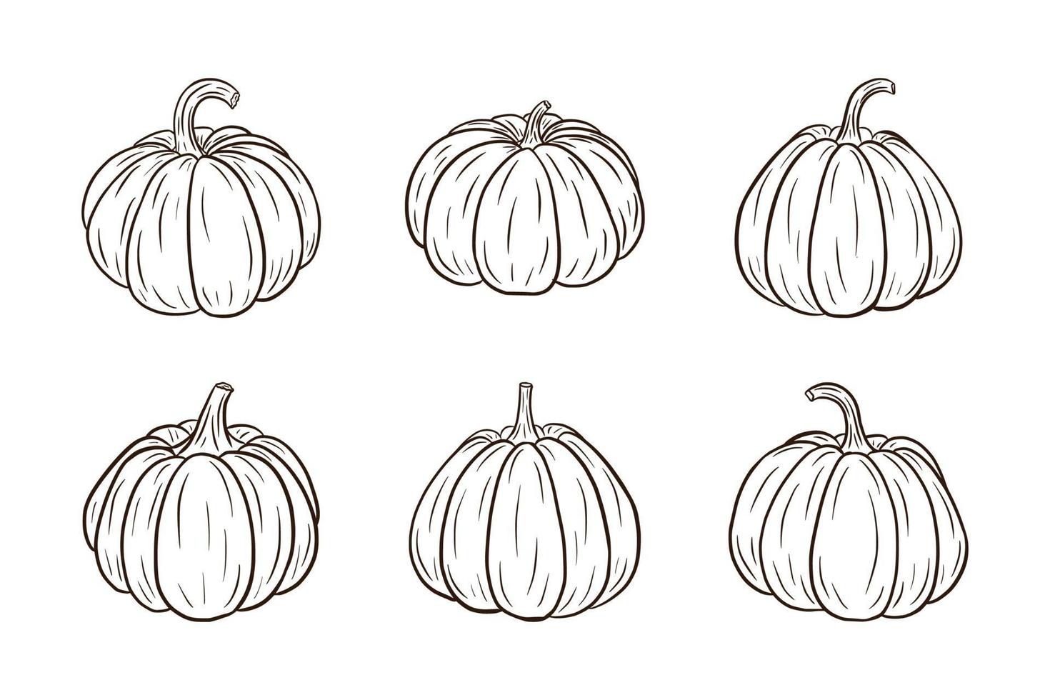 set di illustrazioni di zucca vettore